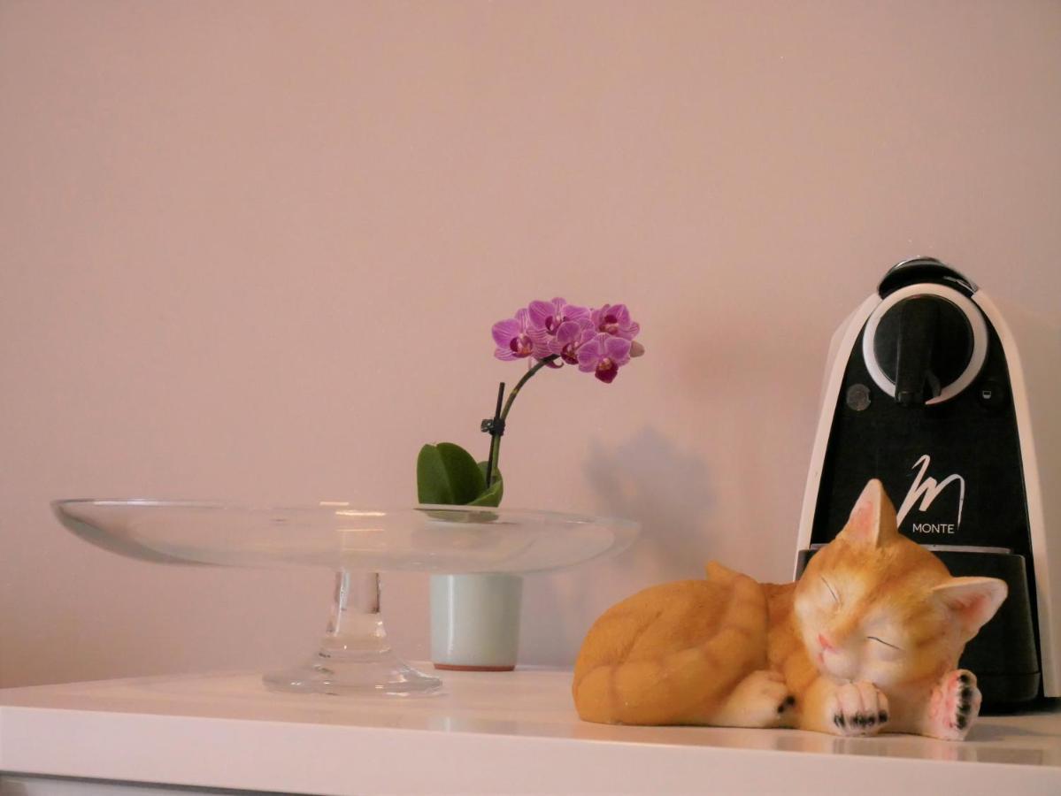 Apartments Kety Rovinj Ngoại thất bức ảnh